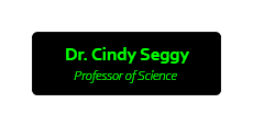 1 x 3 Color Printed Name Tag
